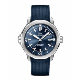 IWC IW328801 Erkek Kol Saati