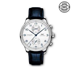 IWC IW371605 Erkek Kol Saati