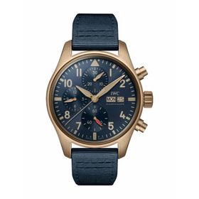 IWC IW388109 Erkek Kol Saati