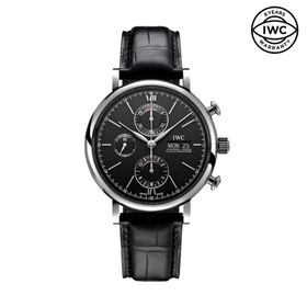 IWC IW391029 Erkek Kol Saati