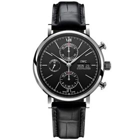 IWC IW391029 Erkek Kol Saati