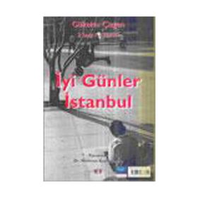 İYİ GÜNLER İSTANBUL 2 SERGI /2 YORUM - GÜLTEKİN ÇİZGEN