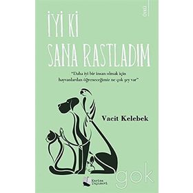İyi Ki Sana Rastladım - Vacit Kelebek