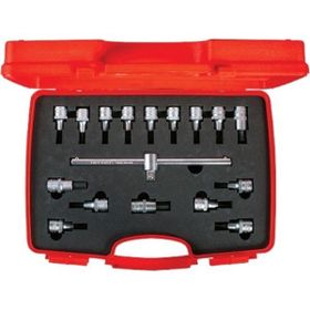 İzeltaş 1113 00 6017 1/2 inç 17 Parça Lokmalı Allen Uç ve Star Torx Uç Takımı