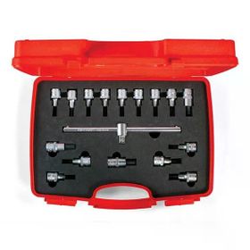 İzeltaş 1113 00 6017 1/2 inç 17 Parça Lokmalı Allen Uç ve Star Torx Uç Takımı