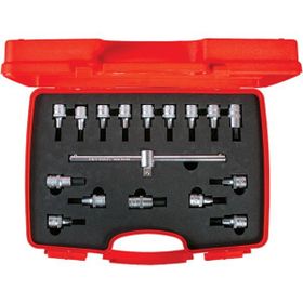 İzeltaş 1113 00 6017 1/2 inç 17 Parça Lokmalı Allen Uç ve Star Torx Uç Takımı