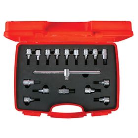 İzeltaş 1/2 17 Parça Allen Uçlu Lokma Takımı ve Torx Uç Set