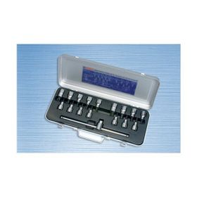İzeltaş 1/2 inç Lokmalı Allen Uç ve 17 Parça Torx Uç Takımı