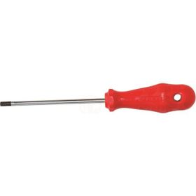 İzeltaş 4776180020 TR 20 Delikli Torx Uçlu Tornavida