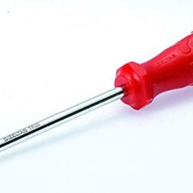 İzeltaş 4776180025 TR 25 Delikli Torx Uçlu Tornavida