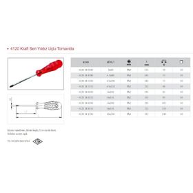 İzeltaş 6x100 Kraft Yıldız Tornavida