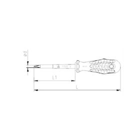 İzeltaş Rod 6x100 mm Yıldız Tornavida