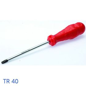 İzeltaş Tr10 Delikli Torx Uçlu Tornavida