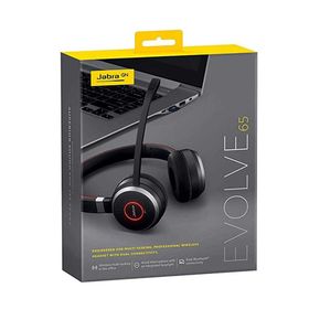 Jabra Evolve 30 Duo Kulaklık