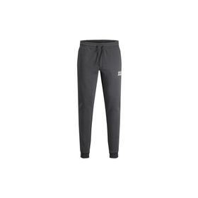 Jack & Jones 12178421 Gri Erkek Eşofman Altı