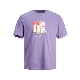 Jack & Jones 12243638 Mor Erkek T-shirt
