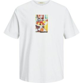 Jack & Jones 12256382 Beyaz Nata Art Erkek T-shirt