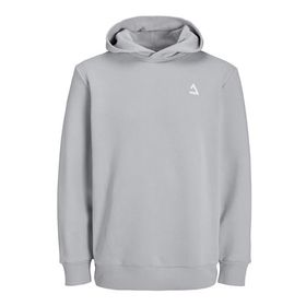 Jack & Jones jcotriangle Sweat Hood SN Gri Erkek Sweatshirt