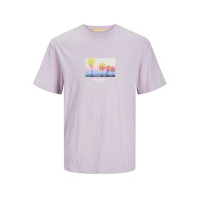 Jack & Jones Joraruba Small Photo Tee Ss Crew Neck Lila Erkek T-shirt