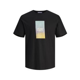 Jack & Jones Joraruba Sunset Branding Tee SS C.N Siyah Erkek T-shirt