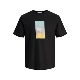 Jack & Jones Joraruba Sunset Branding Tee SS C.N Siyah Erkek T-shirt