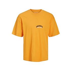 Jack & Jones Jorbrink Studio Tee SS Iceland Poppy Bisiklet Yaka Erkek T-shirt
