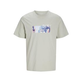 Jack & Jones Jorbushwick Blur Tee Ss Mineral Gri Bisiklet Yaka Erkek T-shirt