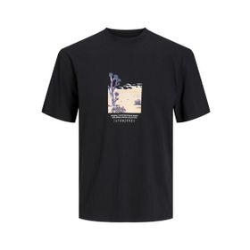 Jack & Jones Jorlucca Graphic Tee SS Siyah Bisiklet Yaka Erkek T-shirt