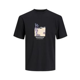 Jack & Jones Jorlucca Graphic Tee SS Siyah Bisiklet Yaka Erkek T-shirt