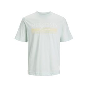 Jack & Jones Jorpalma Branding Tee Ss Soluk Mavi Bisiklet Yaka Erkek T-shirt