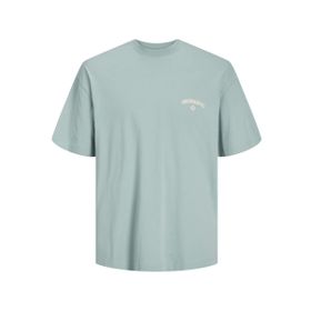 Jack & Jones Jorsantorini Gri Mist Back Tee Ss Crew Neck Sn Erkek T-shirt