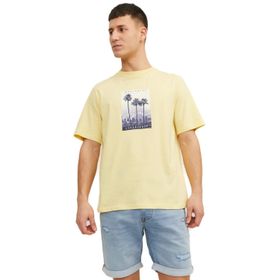 Jack & Jones Jorsplash Photo Tee Ss Crew Neck Sarı Bej Erkek T-shirt
