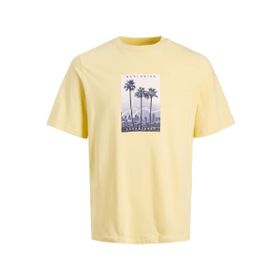 Jack & Jones Jorsplash Photo Tee Ss Crew Neck Sarı Bej Erkek T-shirt