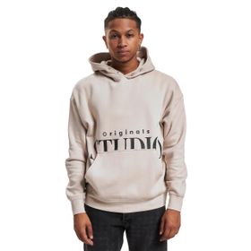 Jack & Jones Jorvesterbro Back Sweat Hood SN Moonbeam Erkek Sweatshirt
