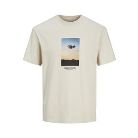 Jack & Jones Jorvesterbro Picture Tee Ss Crew Neck Sn Moonbeam Erkek T-shirt