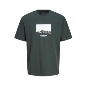 Jack & Jones Jorvesterbro Picture Tee Ss Crew Neck SN Orman Nehri Detay AW24 Erkek T-shirt