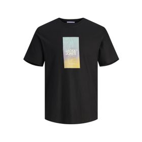Jack & Jones Plus Joraruba Sunset Branding Tee SS C. PLS Siyah Erkek T-shirt