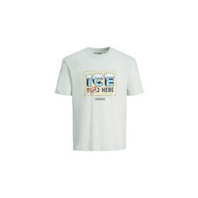 Jack&Jones 12238373 Erkek T-shirt