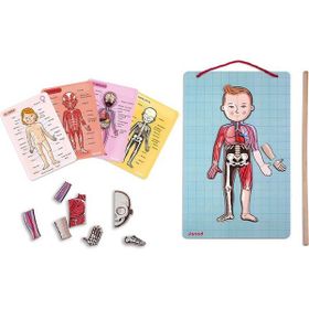 Janod Vücudumuzu Tanıyalım 7+ Yaş Mıknatıslı Oyun