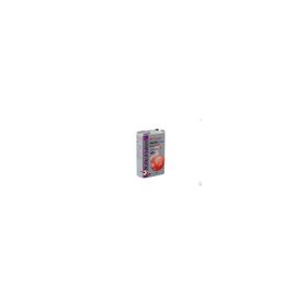 Japan Oil 4T 15W50 SM-MA2 Purple 1 lt Motor Yağı