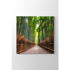Japonya Bambu Tarlası Tablosu