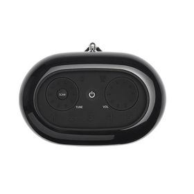 JBL Tuner XL Siyah Bluetooth Hoparlör