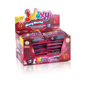 Jelaxy 20 gr Salkım Böğürtlen (24 adet)