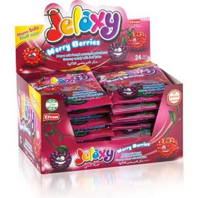Jelaxy 20 gr Salkım Böğürtlen (24 adet)