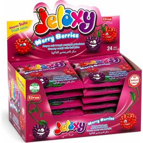 Jelaxy 20 gr Salkım Böğürtlen (24 adet)