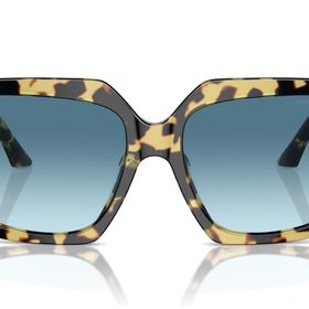 Jimmy Choo 5006U 500419 Kadın Güneş Gözlüğü