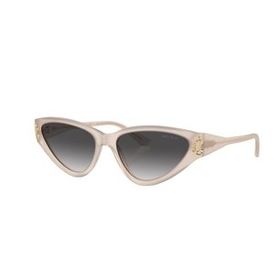 Jimmy Choo 5019 50258G 55-16 Kadın Güneş Gözlüğü