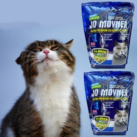 Jo Moyner Silika 2x3.8 lt Kristal Kedi Kumu