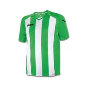 Joma 1202.98.016 Yeşil Pisa Erkek Futbol Forması