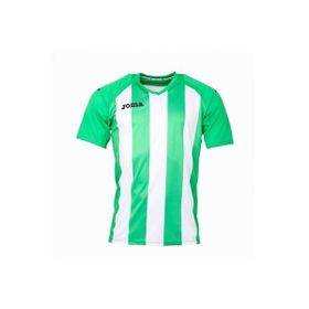 Joma 1202.98.016 Yeşil Pisa Erkek Futbol Forması